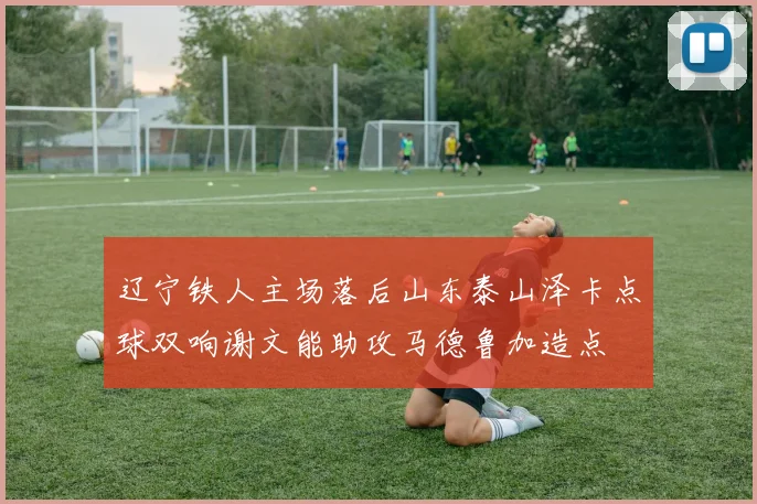 辽宁铁人主场落后山东泰山泽卡点球双响谢文能助攻马德鲁加造点