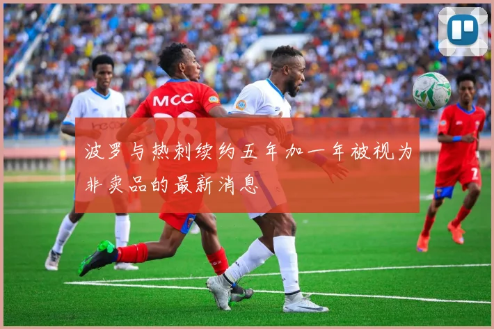 波罗与热刺续约五年加一年被视为非卖品的最新消息