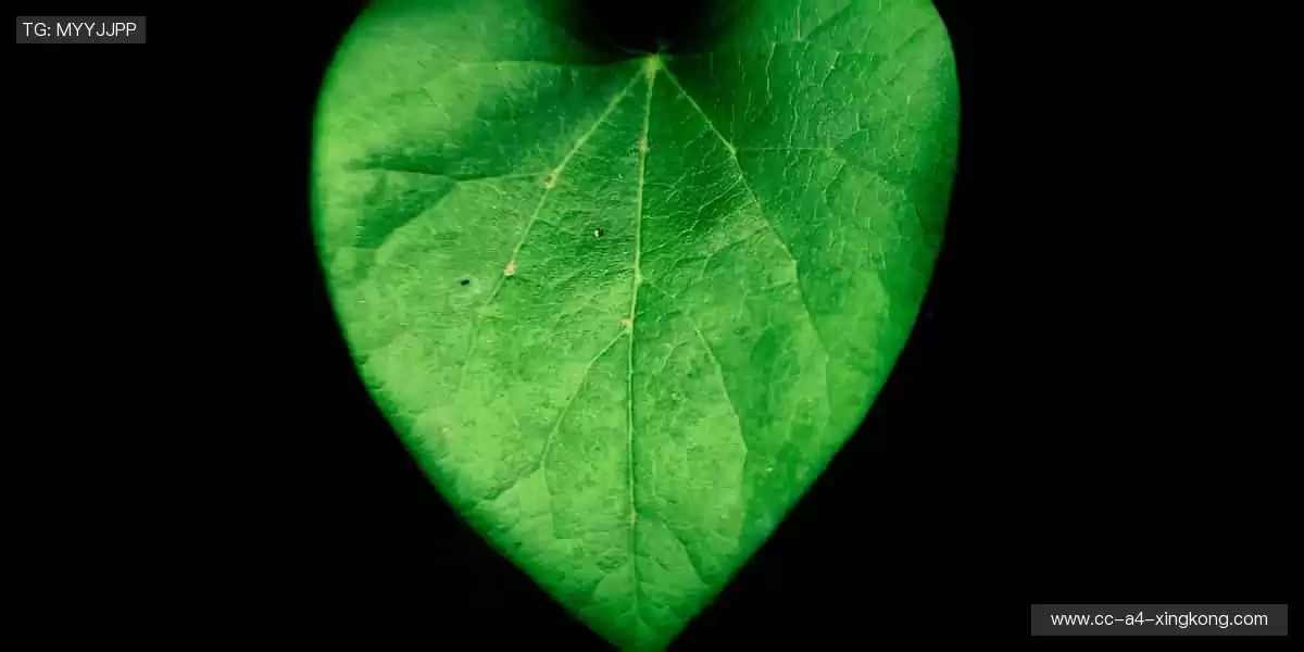 装备升级,潮流同款等你 Pick!🎁👟 专业品质,助力每一次突破!